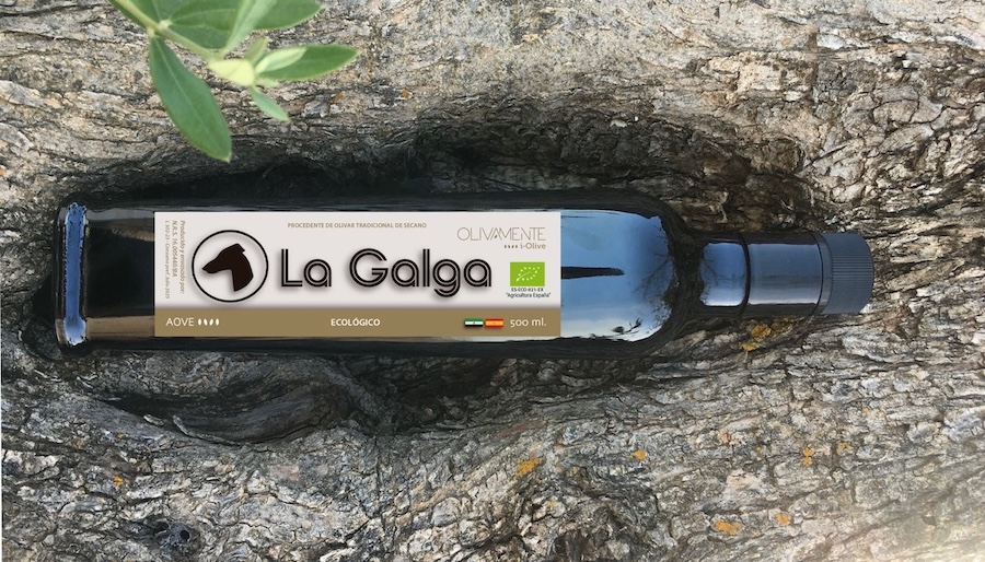 Botella de aceite de oliva virgen extra ecológico La Galga sobre roca